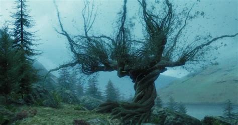 Hogwarts legacy whomping willow - The secret passage beneath the Whomping Willow plays a key role in the novels, and is easily one of the deadliest trips in or out of Hogwarts. Harry and Ron learned how dangerous the tree could be ...